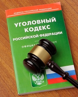 Статья 228
